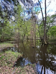 coody creek ranch - image 2