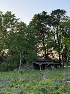 coody creek ranch - image 12