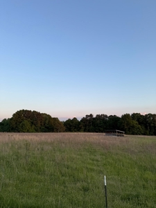 coody creek ranch - image 8