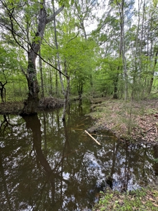coody creek ranch - image 18