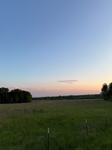 coody creek ranch - image 11