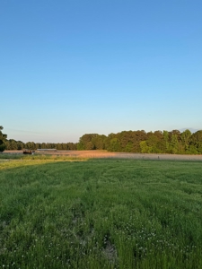 coody creek ranch - image 28