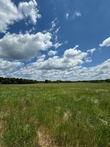coody creek ranch - image 32