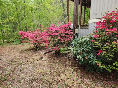 Land With Single Wide Located In Patrick County, Va - image 8