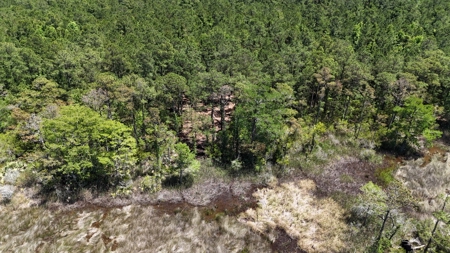 Waterfront Homesite for Sale - Beaufort, NC - image 14