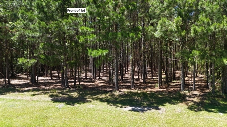 Waterfront Homesite for Sale - Beaufort, NC - image 5
