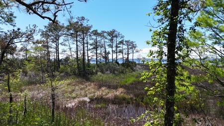 Waterfront Homesite for Sale - Beaufort, NC - image 25