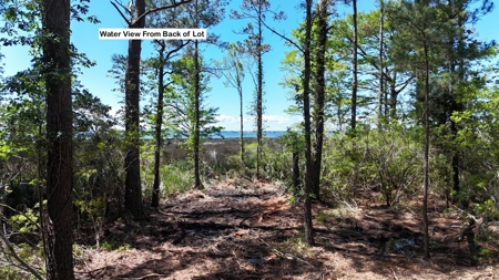 Waterfront Homesite for Sale - Beaufort, NC - image 23