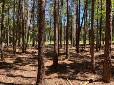Waterfront Homesite for Sale - Beaufort, NC - image 40