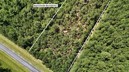 Waterfront Homesite for Sale - Beaufort, NC - image 21