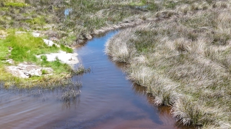 Waterfront Homesite for Sale - Beaufort, NC - image 19