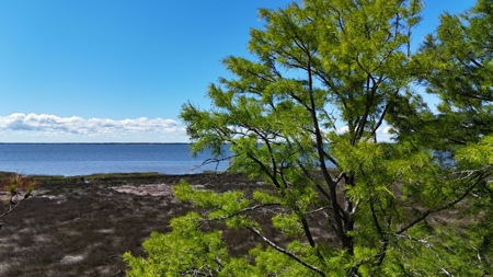 Waterfront Homesite for Sale - Beaufort, NC - image 30