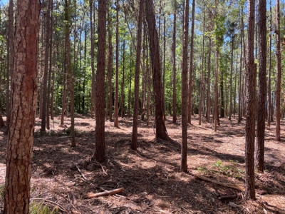 Waterfront Homesite for Sale - Beaufort, NC - image 37