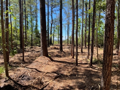 Waterfront Homesite for Sale - Beaufort, NC - image 41