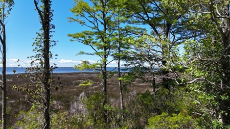 Waterfront Homesite for Sale - Beaufort, NC - image 26