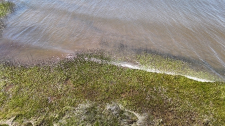 Waterfront Homesite for Sale - Beaufort, NC - image 17