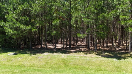 Waterfront Homesite for Sale - Beaufort, NC - image 6