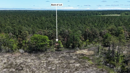 Waterfront Homesite for Sale - Beaufort, NC - image 13