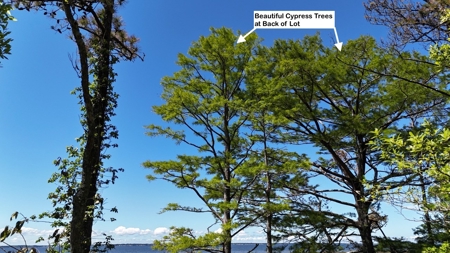Waterfront Homesite for Sale - Beaufort, NC - image 27