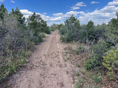 35 ±  Acres near Dolores, CO, No Covenants - image 9