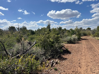 35 ±  Acres near Dolores, CO, No Covenants - image 5