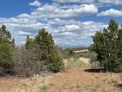 35 ±  Acres near Dolores, CO, No Covenants - image 2