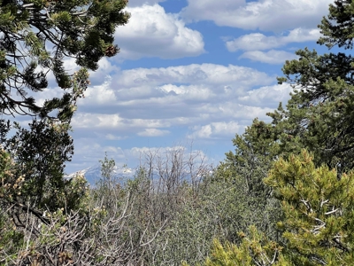 35 ±  Acres near Dolores, CO, No Covenants - image 12