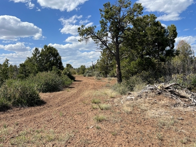 35 ±  Acres near Dolores, CO, No Covenants - image 3