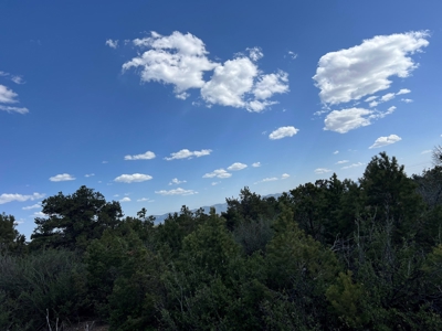 35 ±  Acres near Dolores, CO, No Covenants - image 8