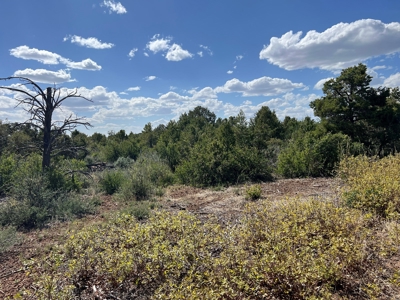 35 ±  Acres near Dolores, CO, No Covenants - image 6