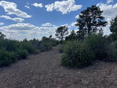 35 ±  Acres near Dolores, CO, No Covenants - image 10