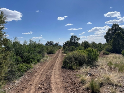 35 ±  Acres near Dolores, CO, No Covenants - image 7
