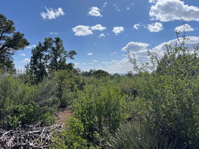 35 ±  Acres near Dolores, CO, No Covenants - image 1