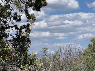 35 ±  Acres near Dolores, CO, No Covenants - image 13