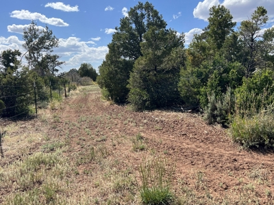 35 ±  Acres near Dolores, CO, No Covenants - image 4