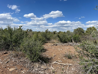35 ±  Acres near Dolores, CO, No Covenants - image 15