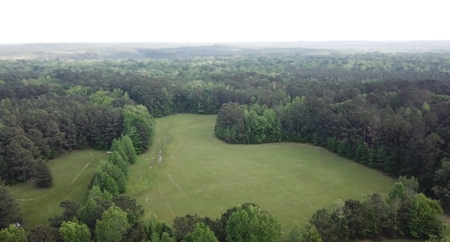 Timberland Fishing Hunting Property For Sale - image 1