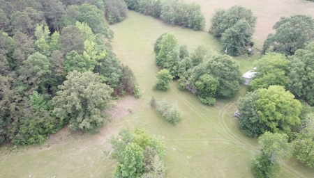 Timberland Fishing Hunting Property For Sale - image 2