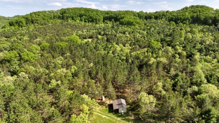 Exceptional Recreational Property in Sparta, WI - image 9