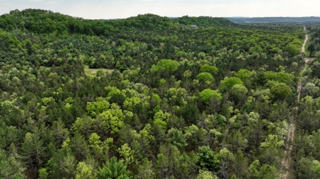 Exceptional Recreational Property in Sparta, WI - image 31