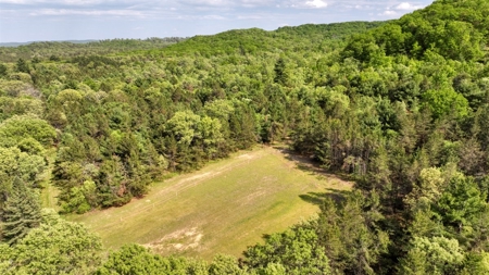 Exceptional Recreational Property in Sparta, WI - image 11