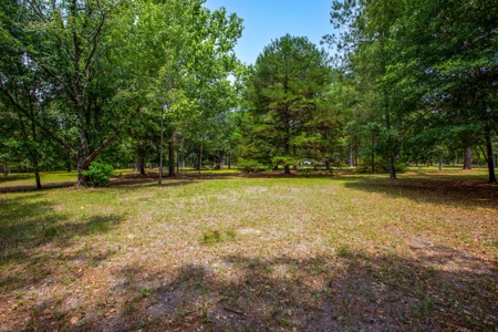 Vacant Land For Sale In Suwannee County Florida - image 10