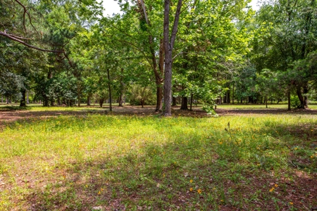 Vacant Land For Sale In Suwannee County Florida - image 9