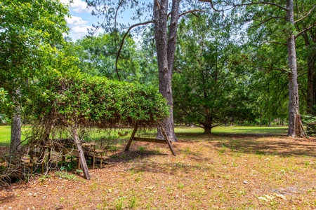 Vacant Land For Sale In Suwannee County Florida - image 6