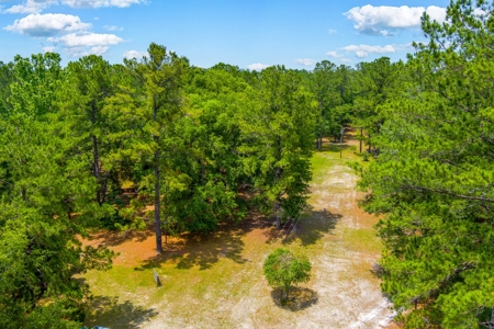 Vacant Land For Sale In Suwannee County Florida - image 4