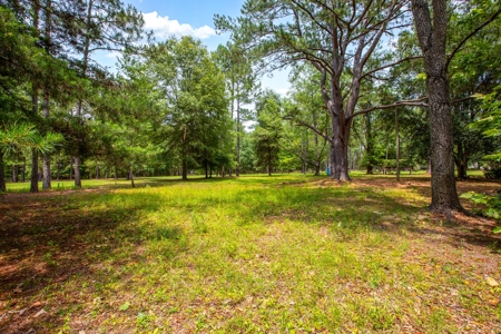 Vacant Land For Sale In Suwannee County Florida - image 11
