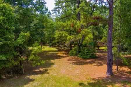 Vacant Land For Sale In Suwannee County Florida - image 1