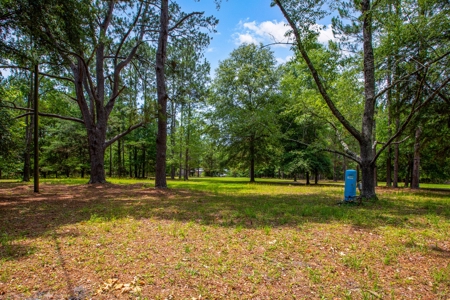 Vacant Land For Sale In Suwannee County Florida - image 12