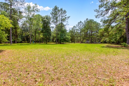 Vacant Land For Sale In Suwannee County Florida - image 8