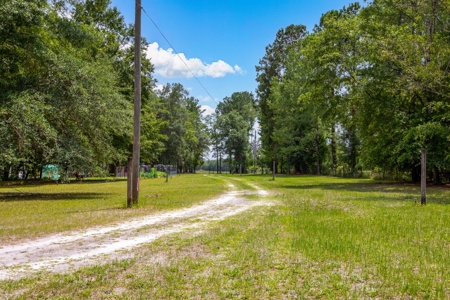 Vacant Land For Sale In Suwannee County Florida - image 7